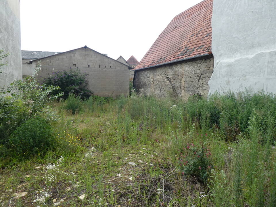image-69999084