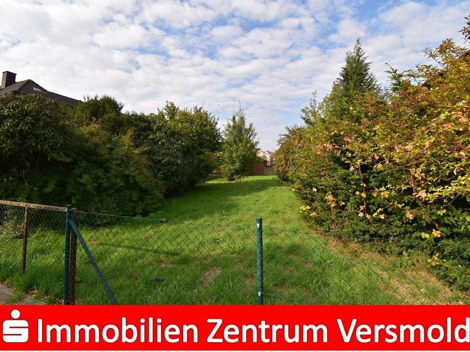 image-69999993