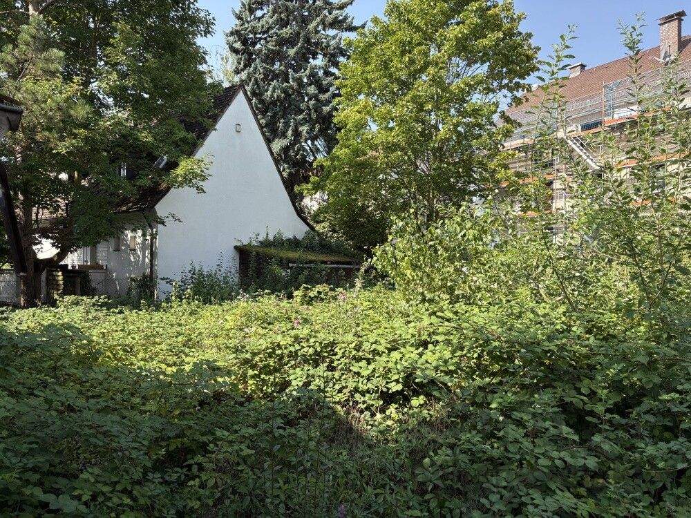 image-70000128