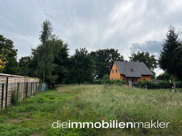 image-70004938
