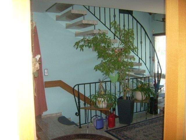 image-70005034