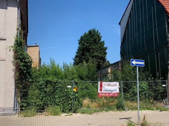 image-70005103