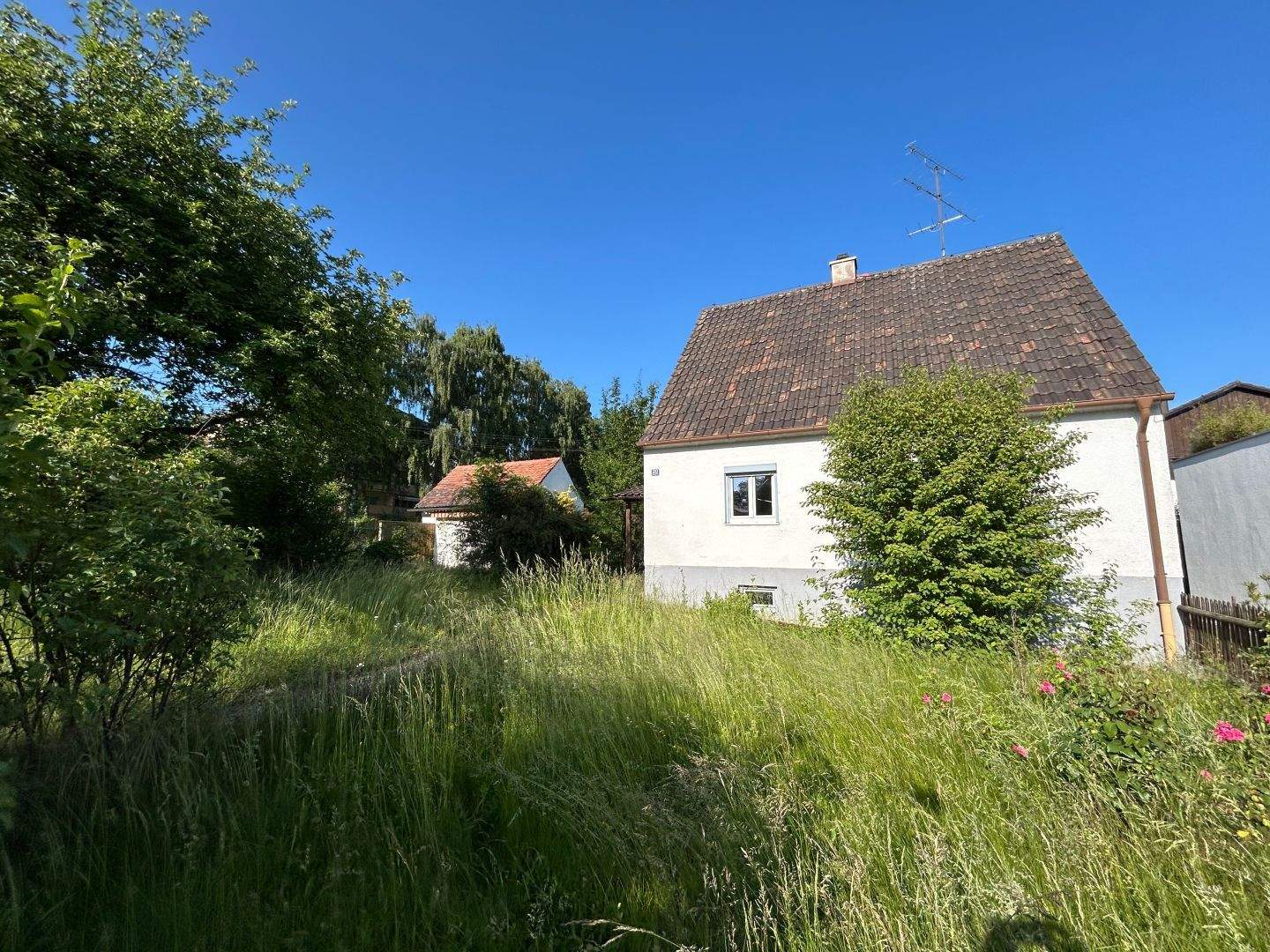 Bild 2