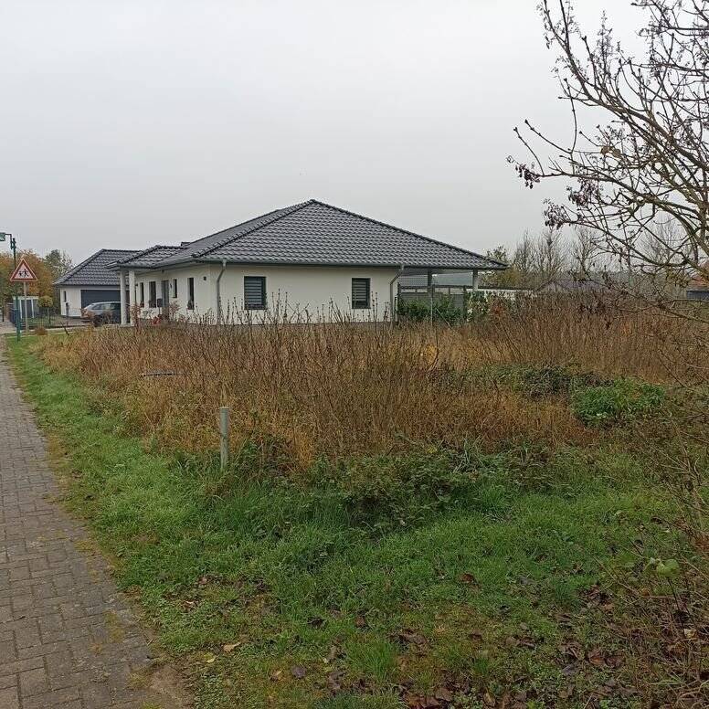 image-70006425