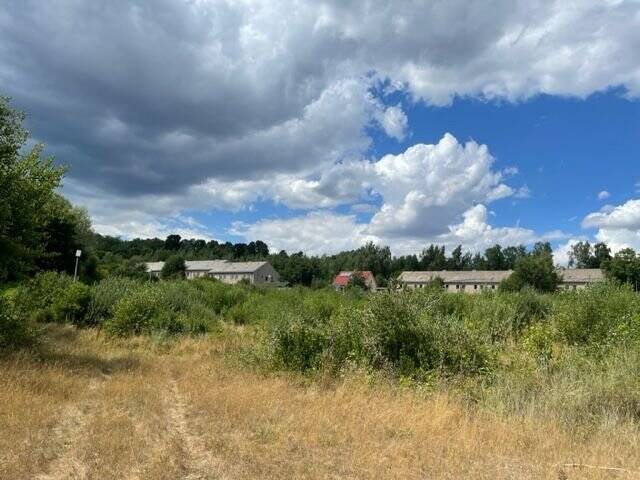 image-70007076