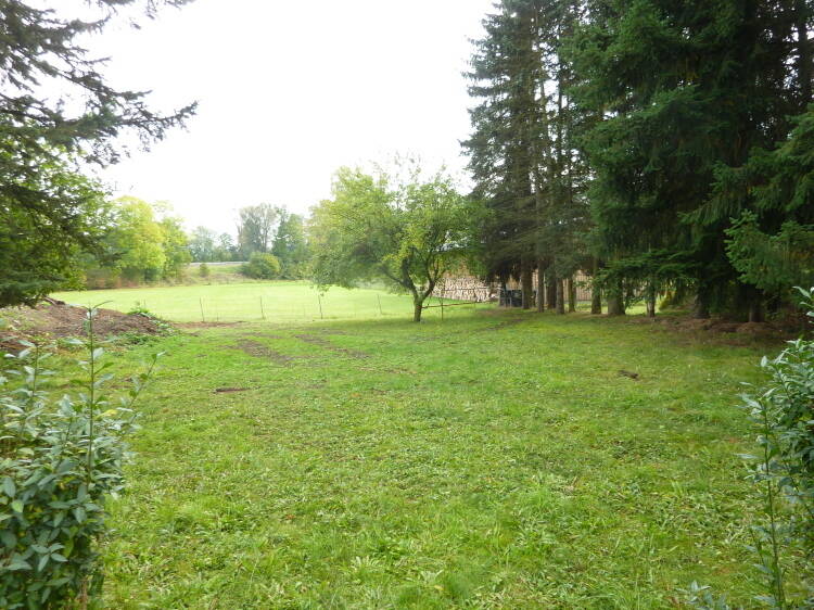 image-70007508