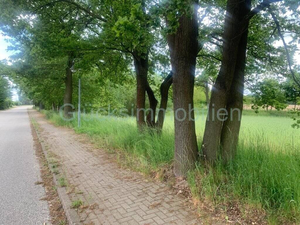 image-70007635