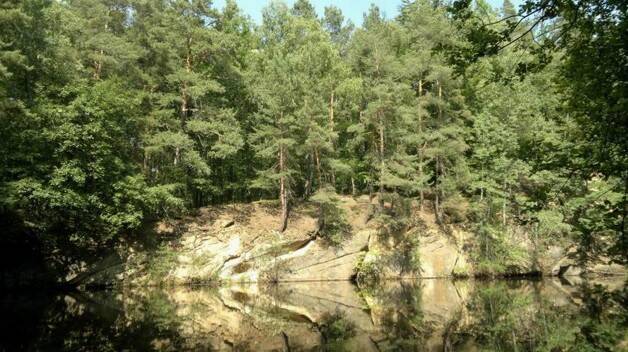 image-70007620