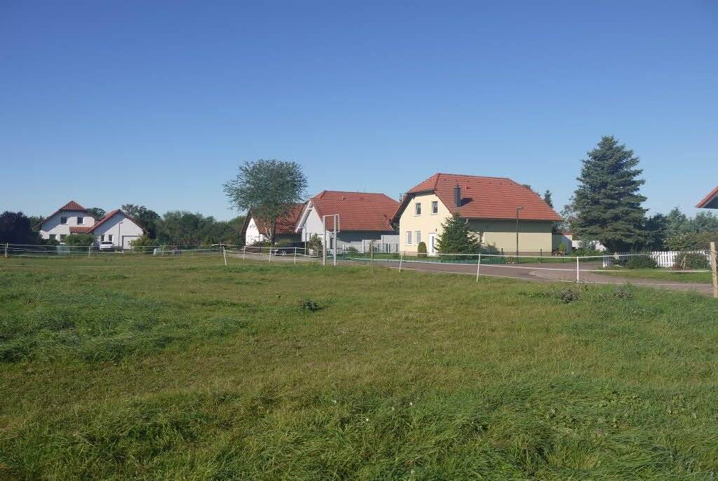 image-70007818