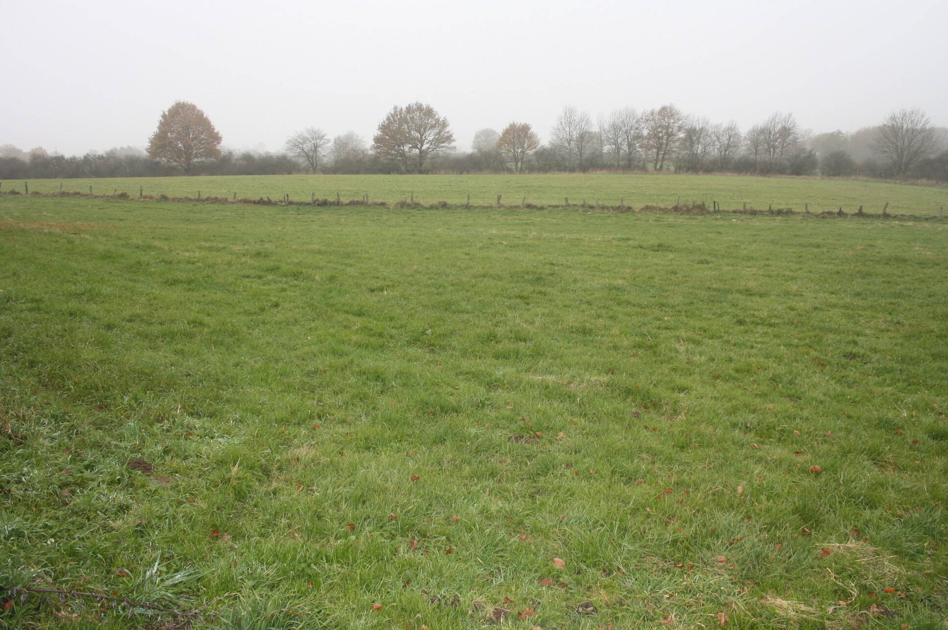 image-70007894