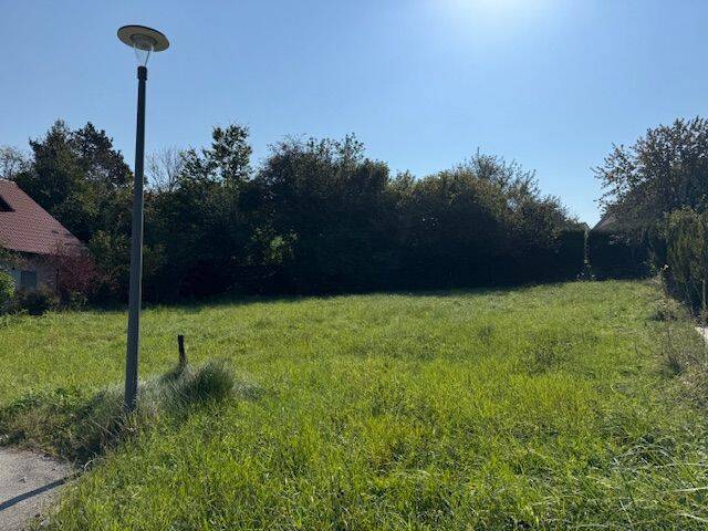 image-70008571