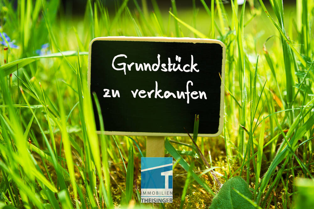 image-70009227