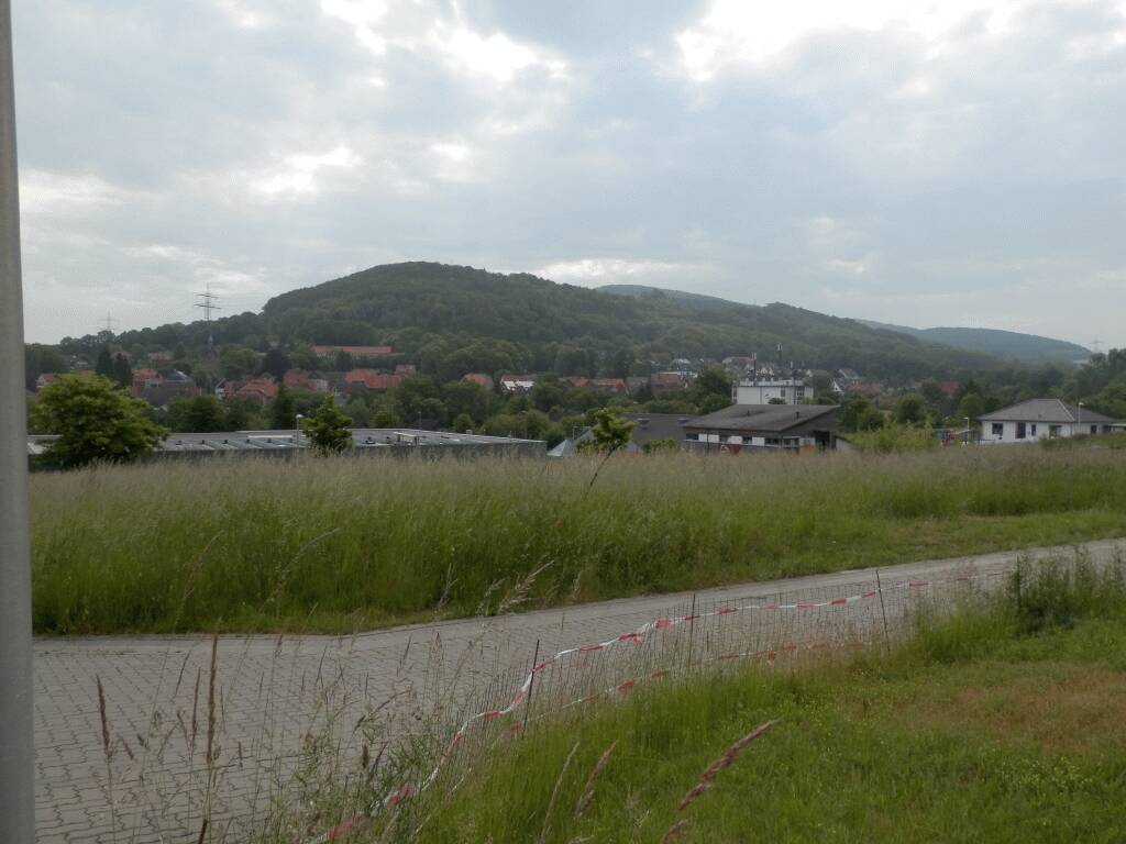image-70009301