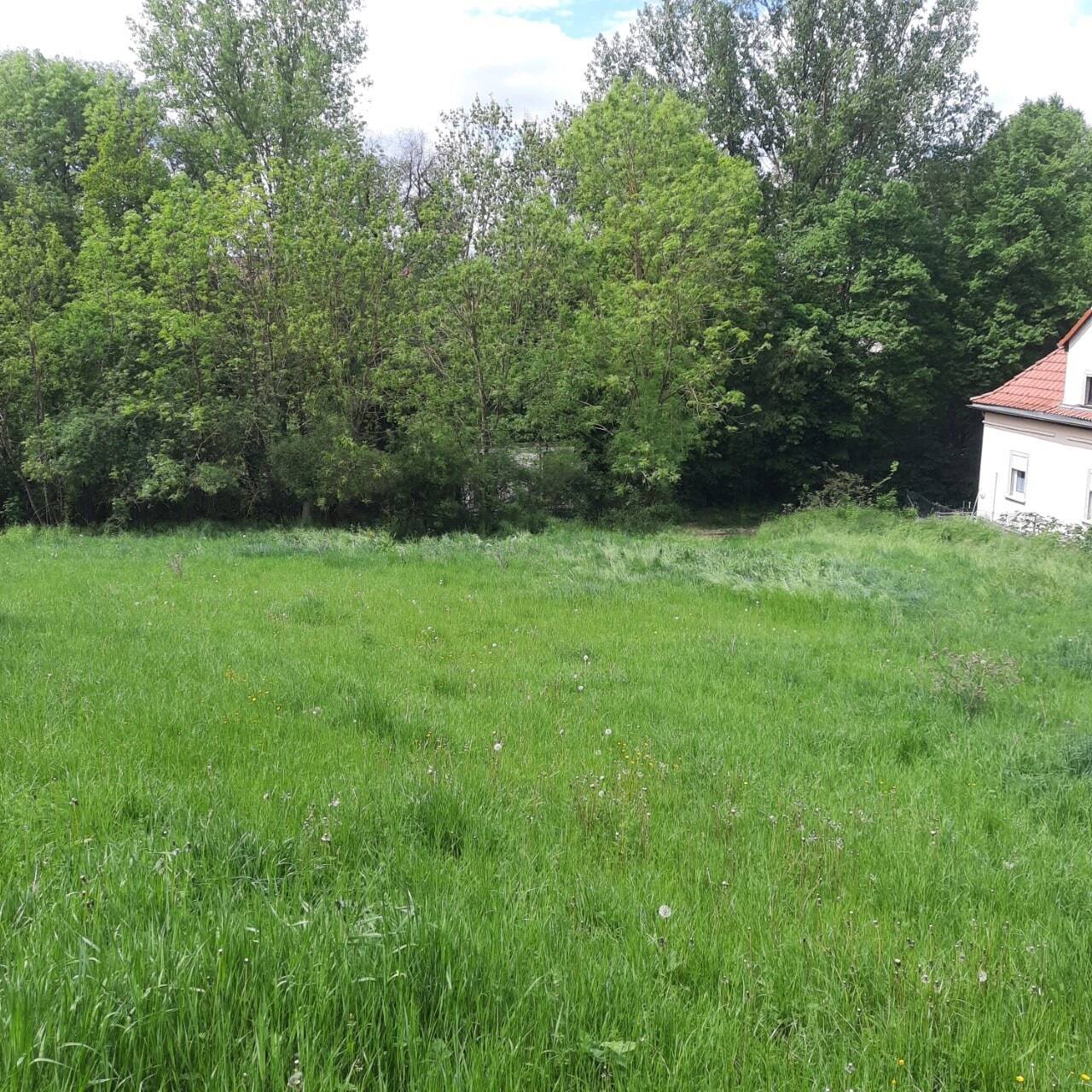 image-70009922