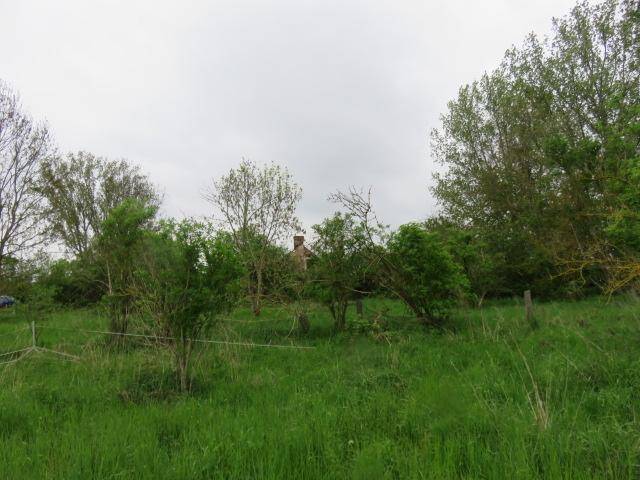 image-70010276