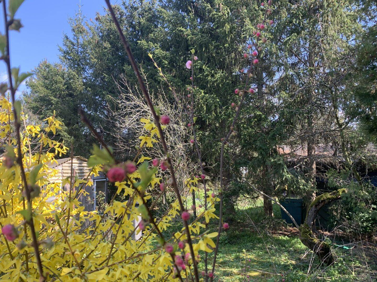 image-70010609