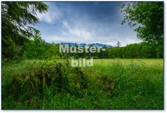 image-70011086