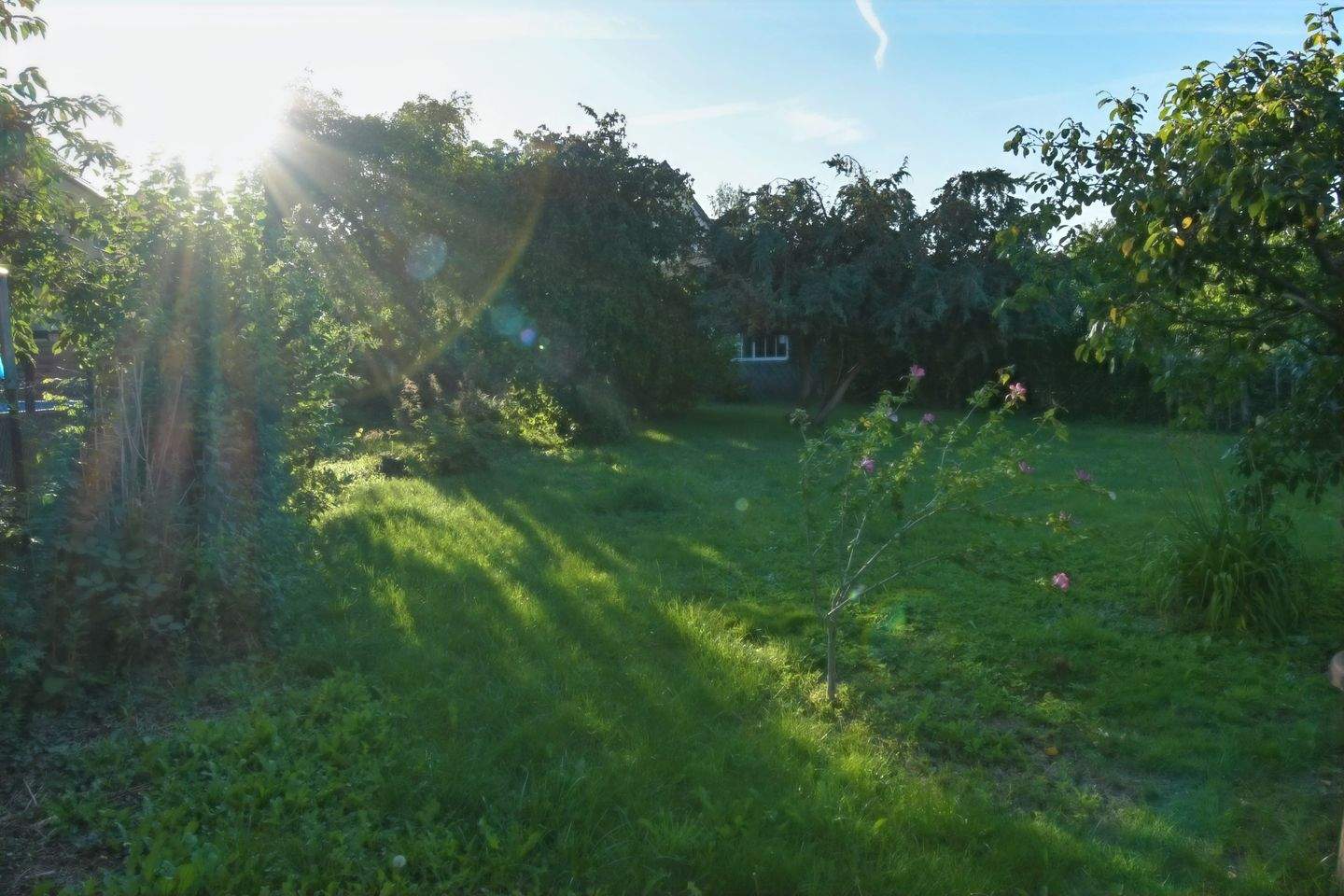 image-70011873