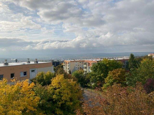 image-70013737