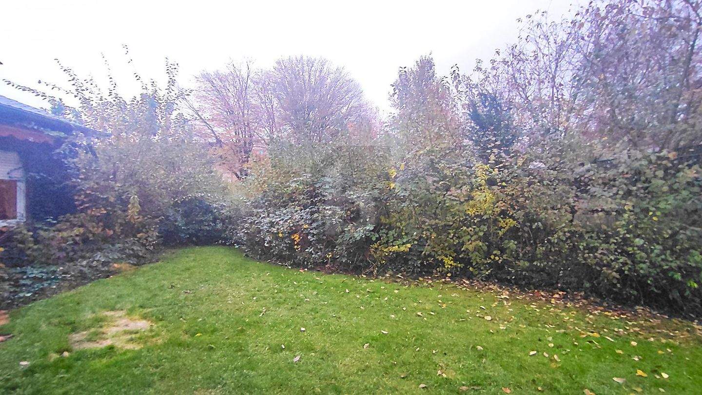 image-70014728