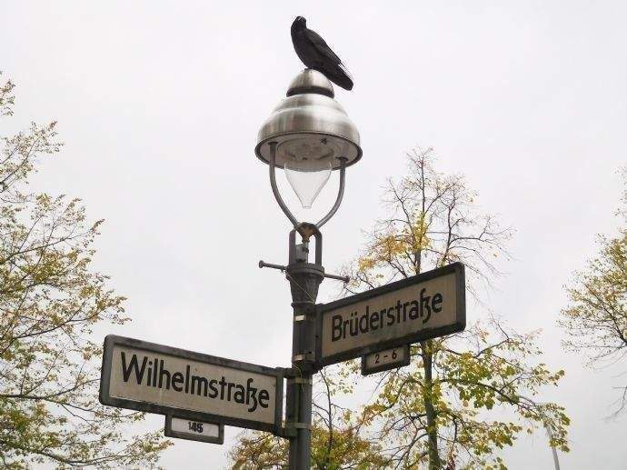 image-70014776