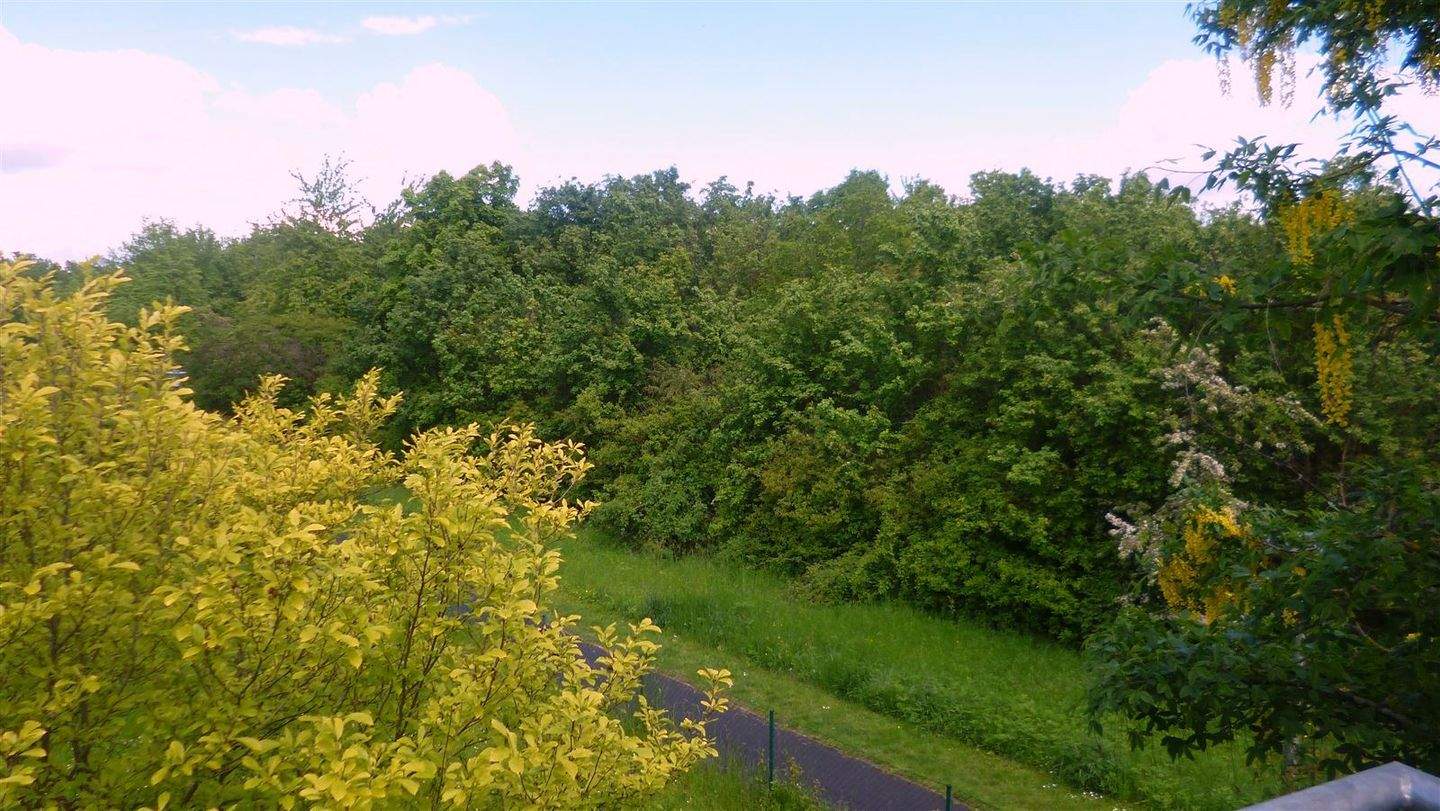 image-70017917