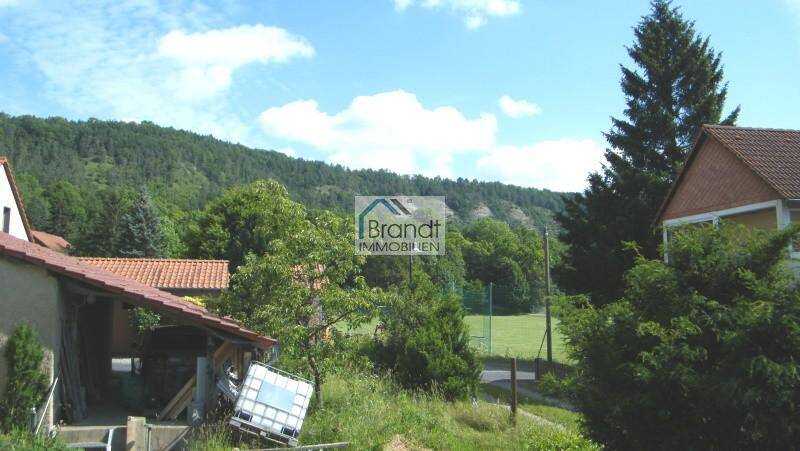 image-56993271