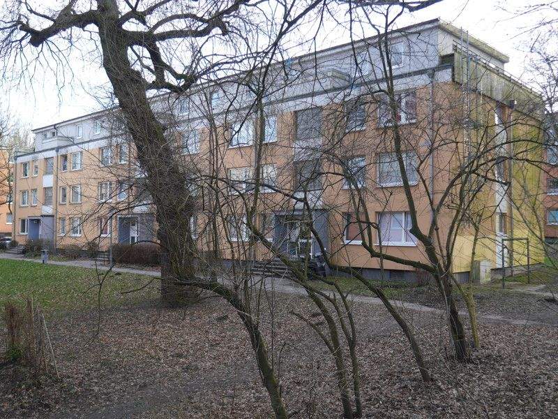 image-70025736