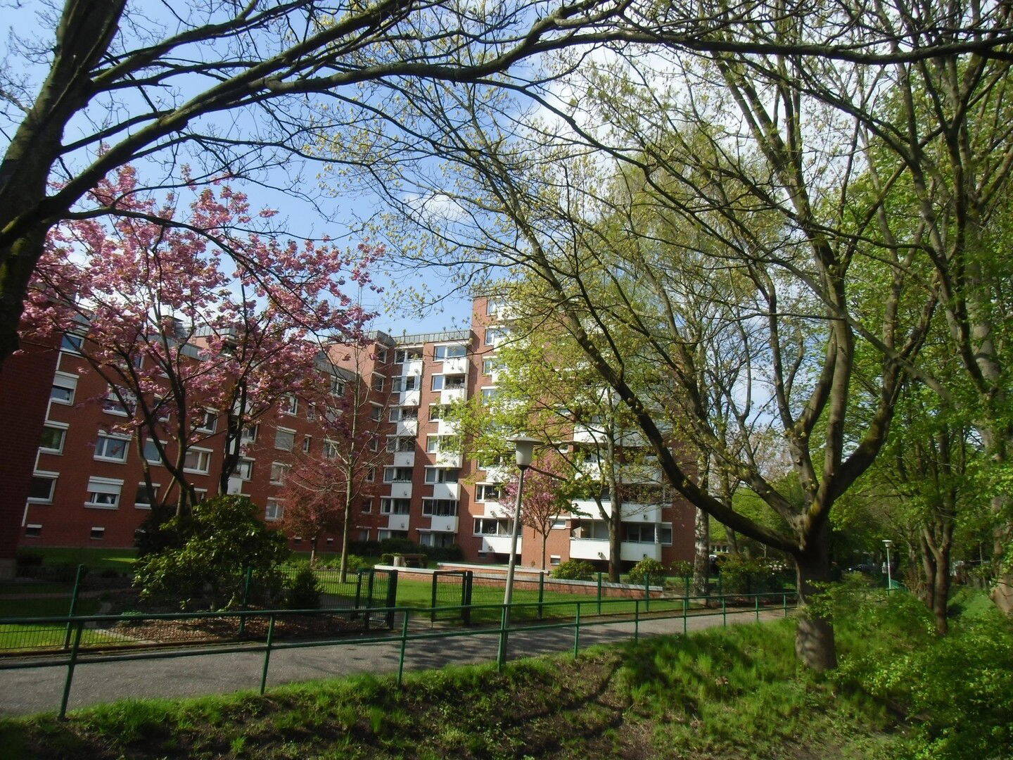 image-70025983