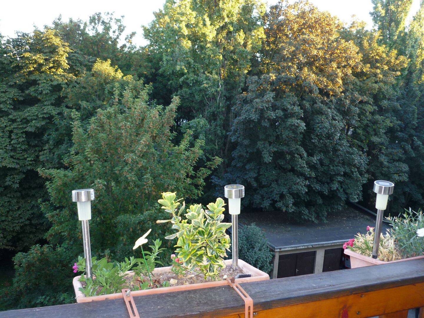 image-70031359