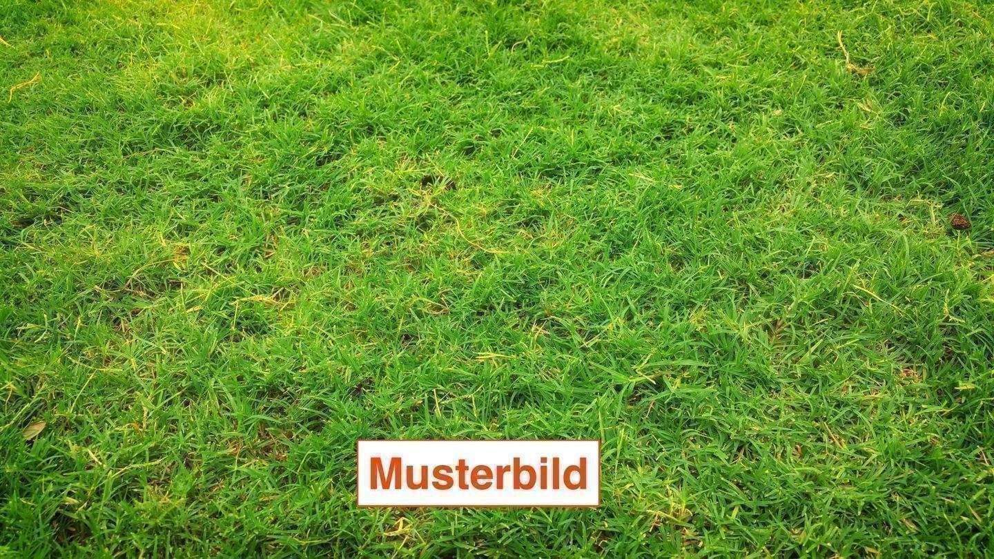 image-70034938