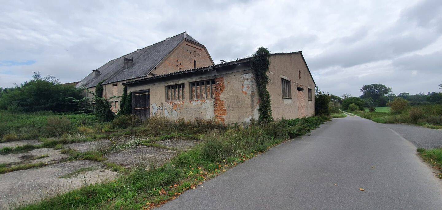 image-70035594