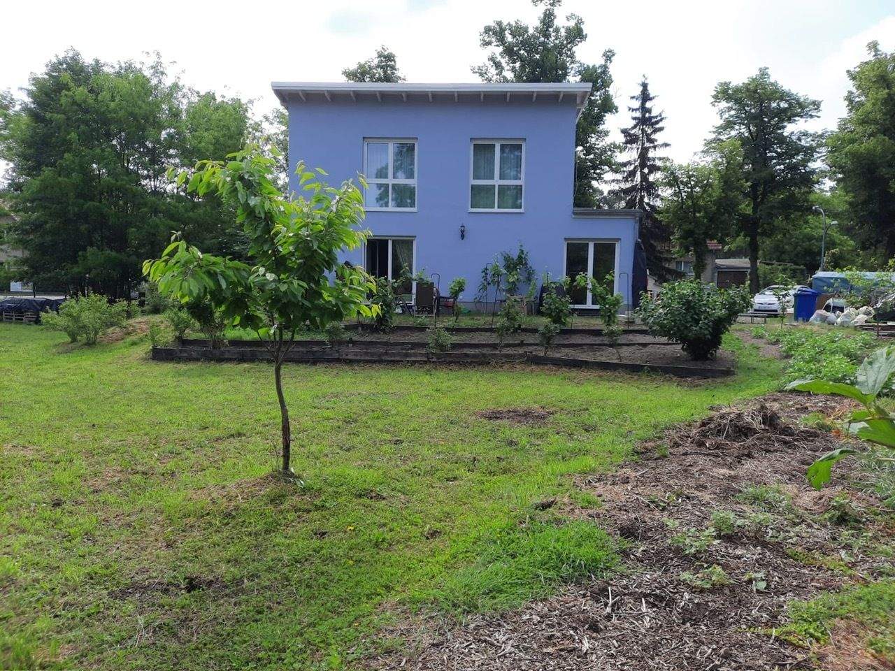 image-70036835