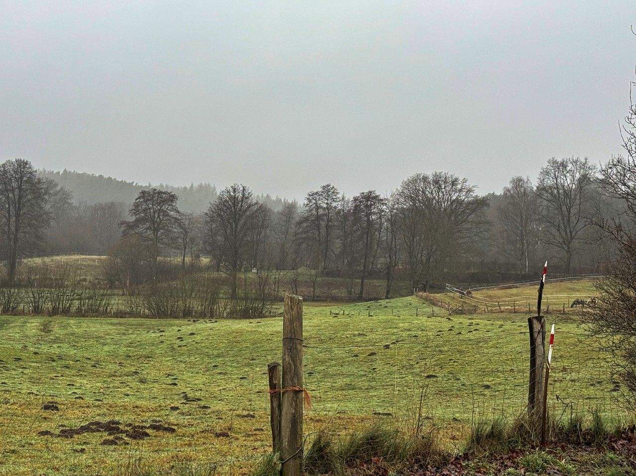image-70040974