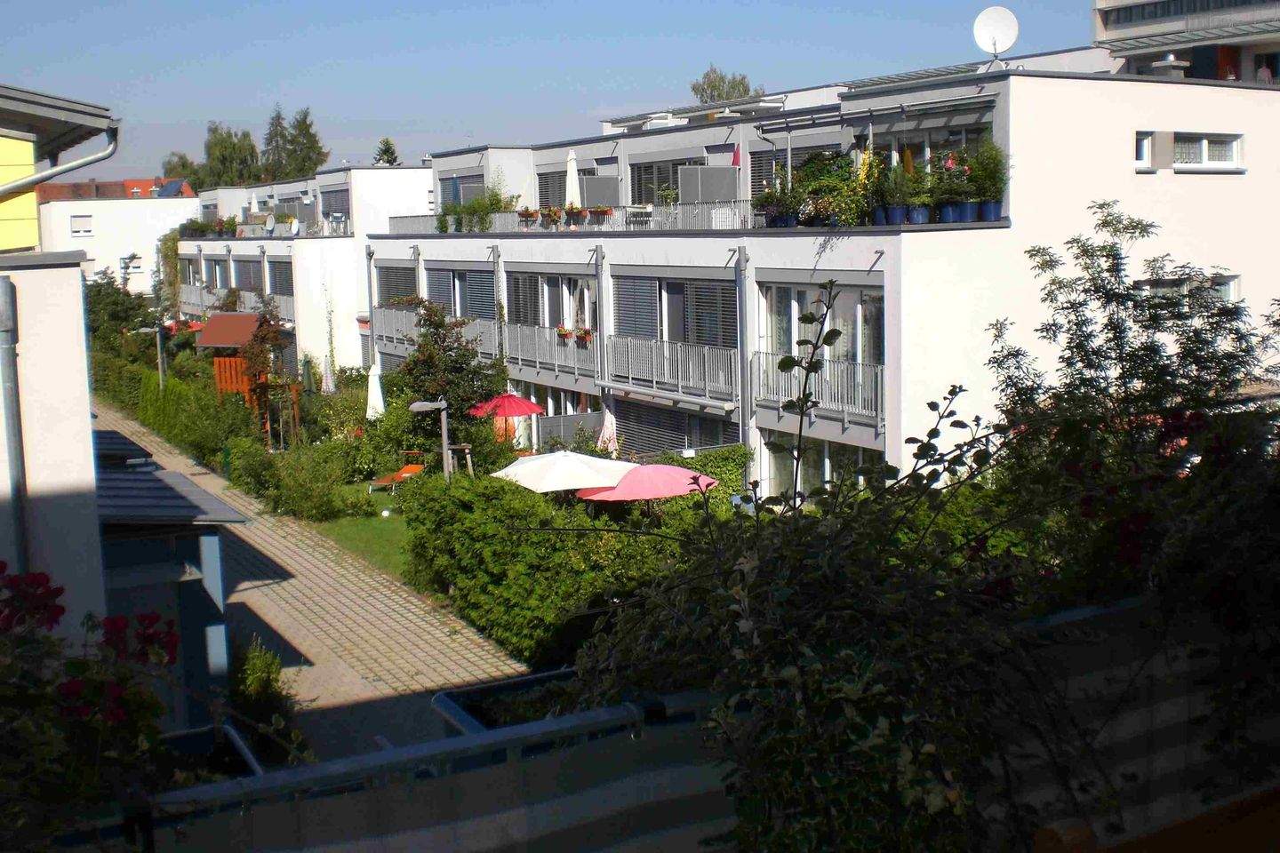 image-70041568