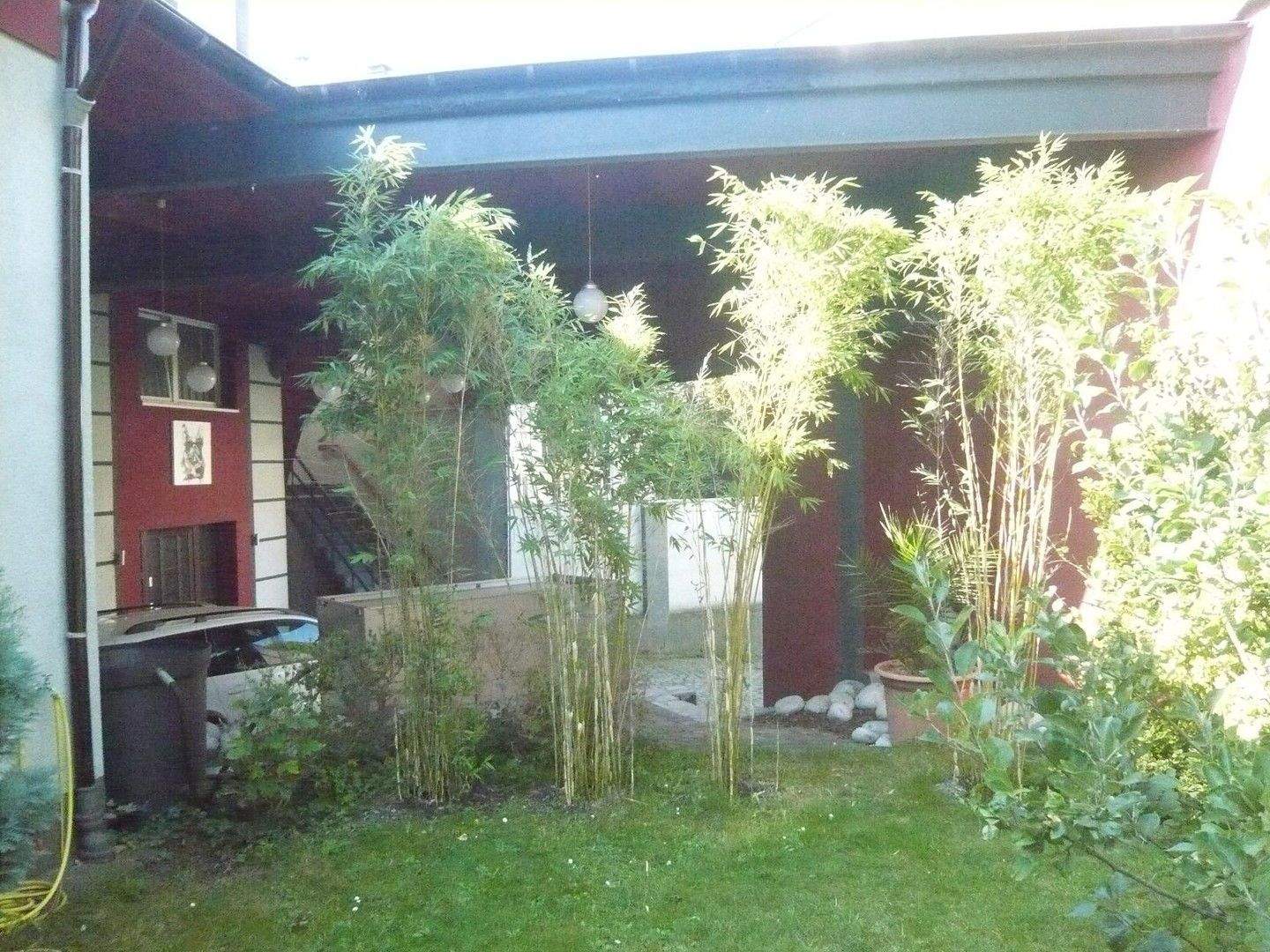 image-70052315