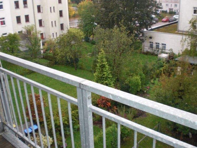 image-70056727