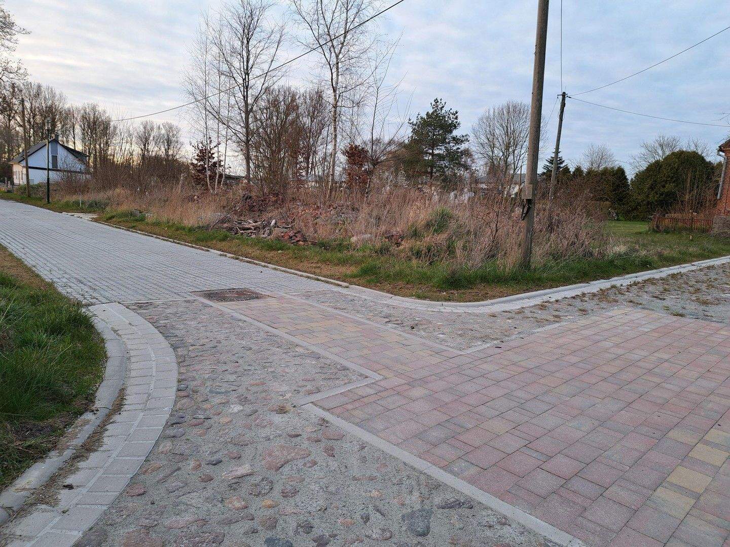 image-70062206