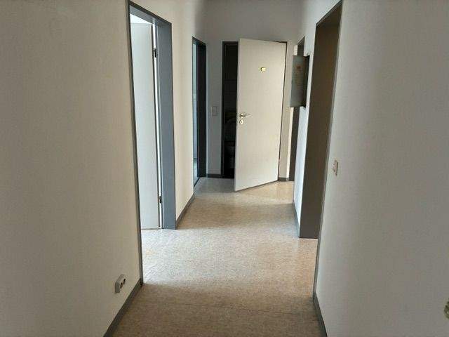 image-70071169