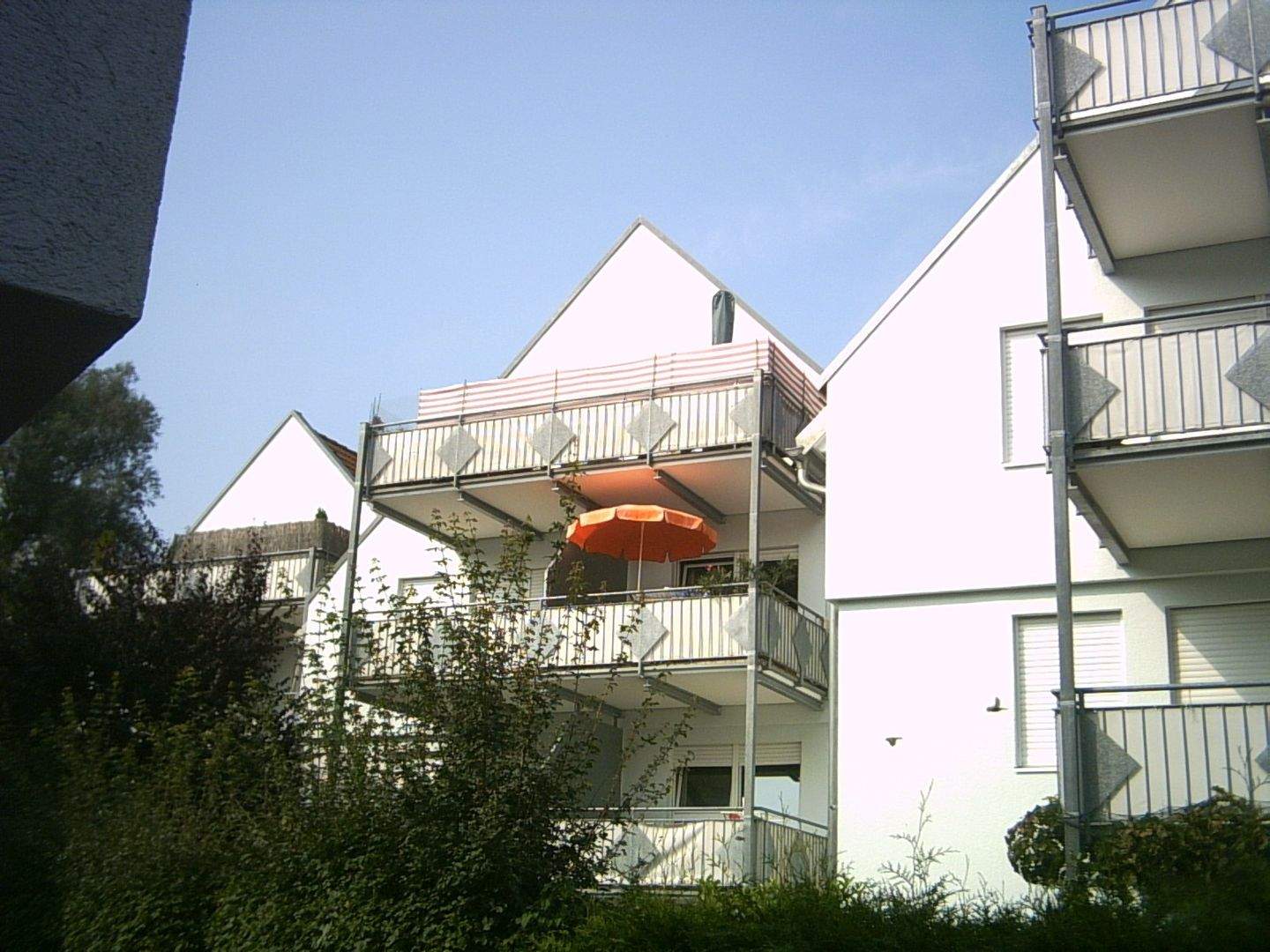image-70072512