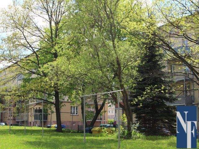 image-70078209