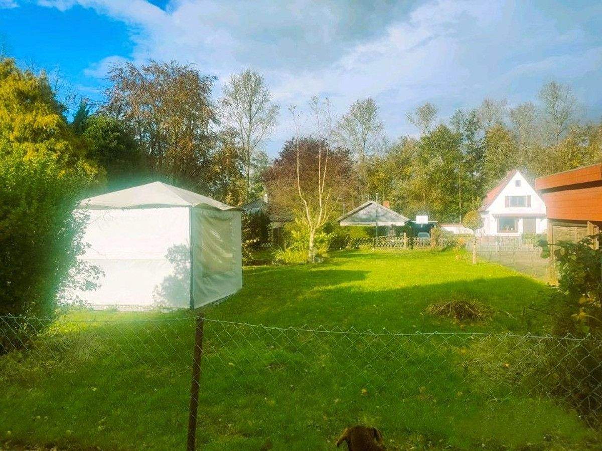 image-70081961