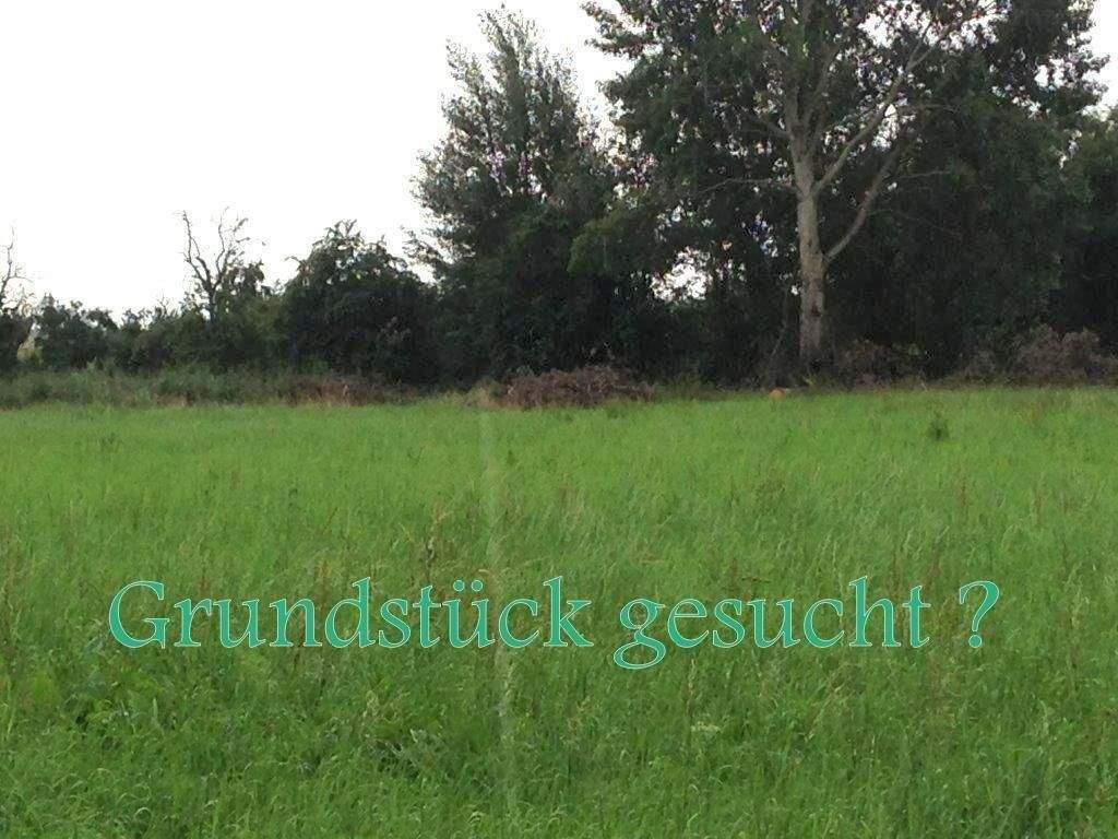 image-70089679
