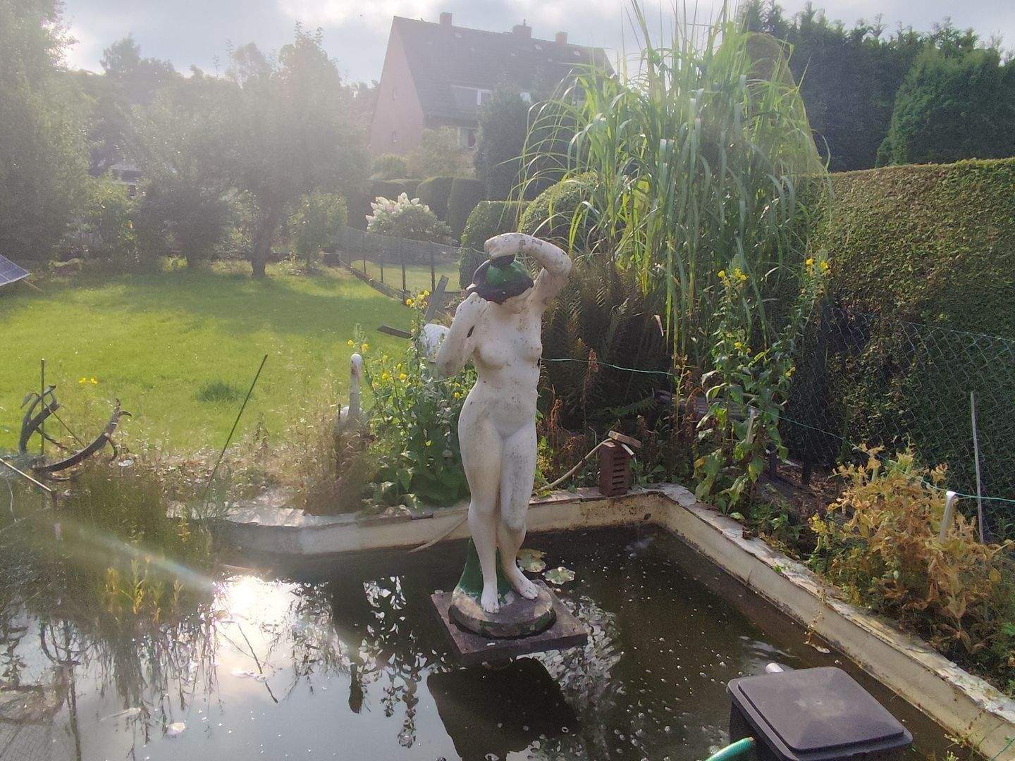 image-70092009