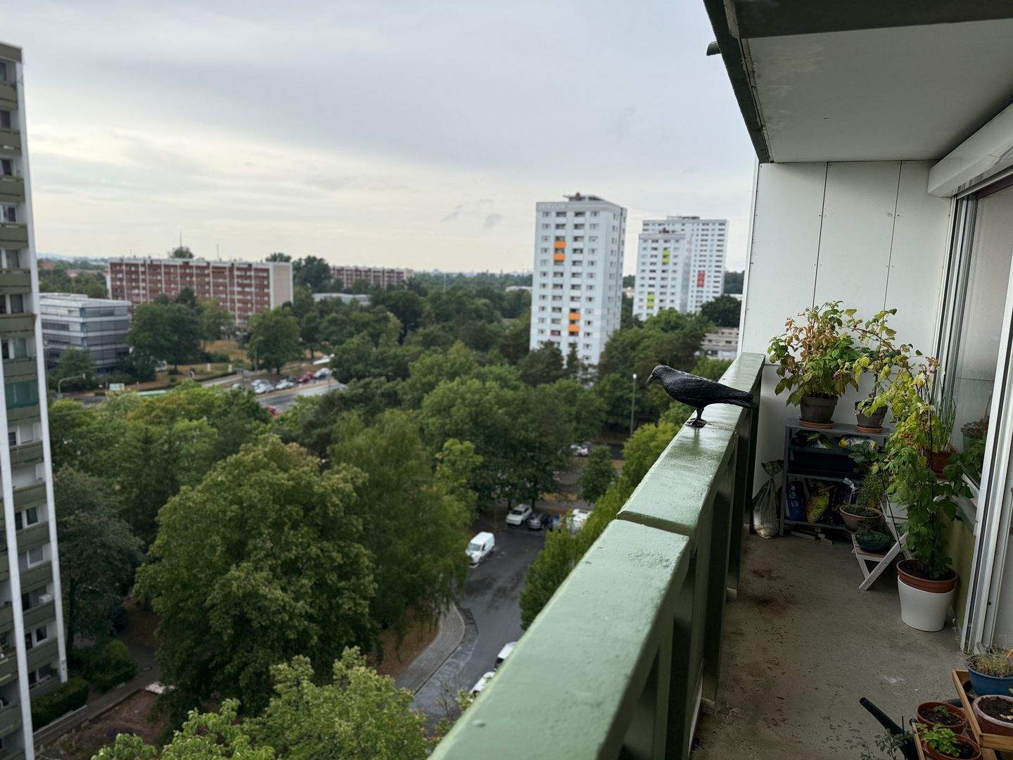 image-70093292
