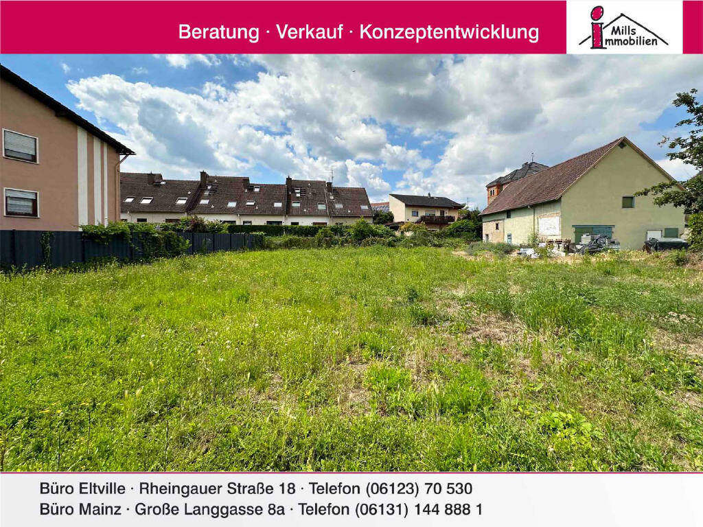 image-56784451