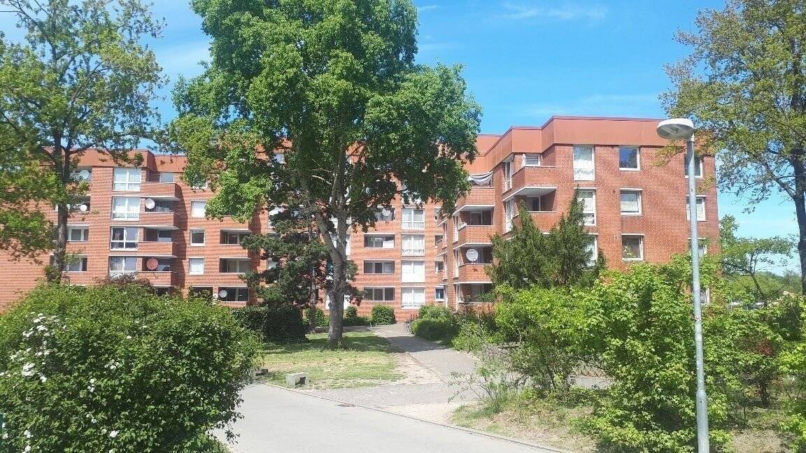 image-56611737