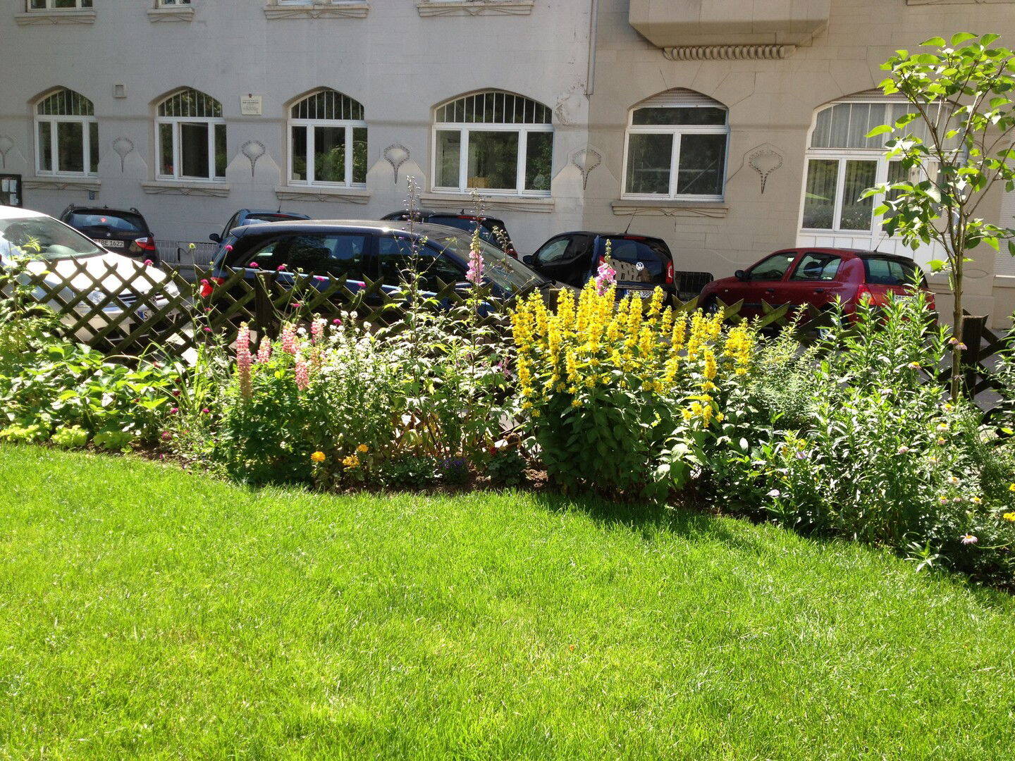 image-70114454