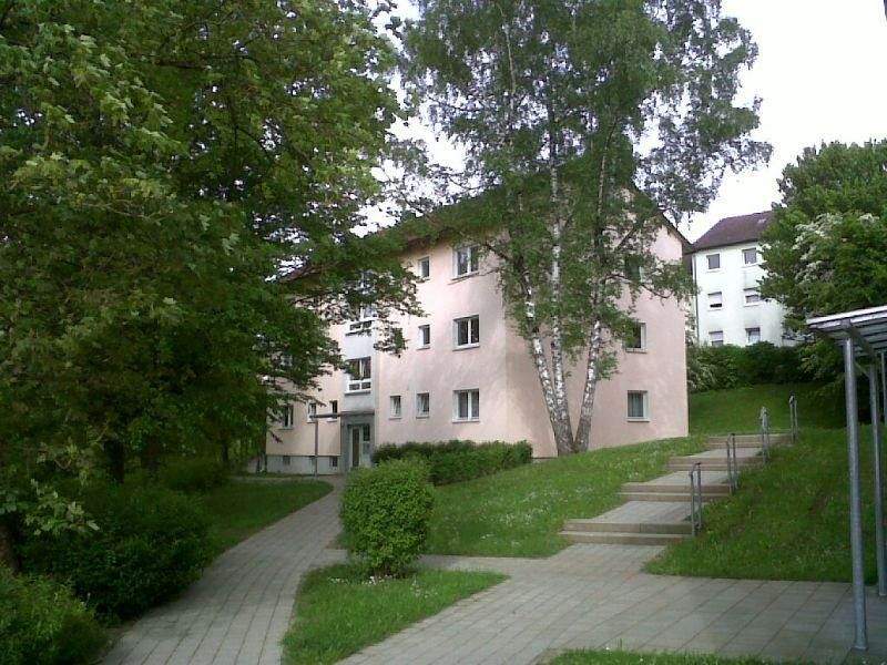 image-70115503