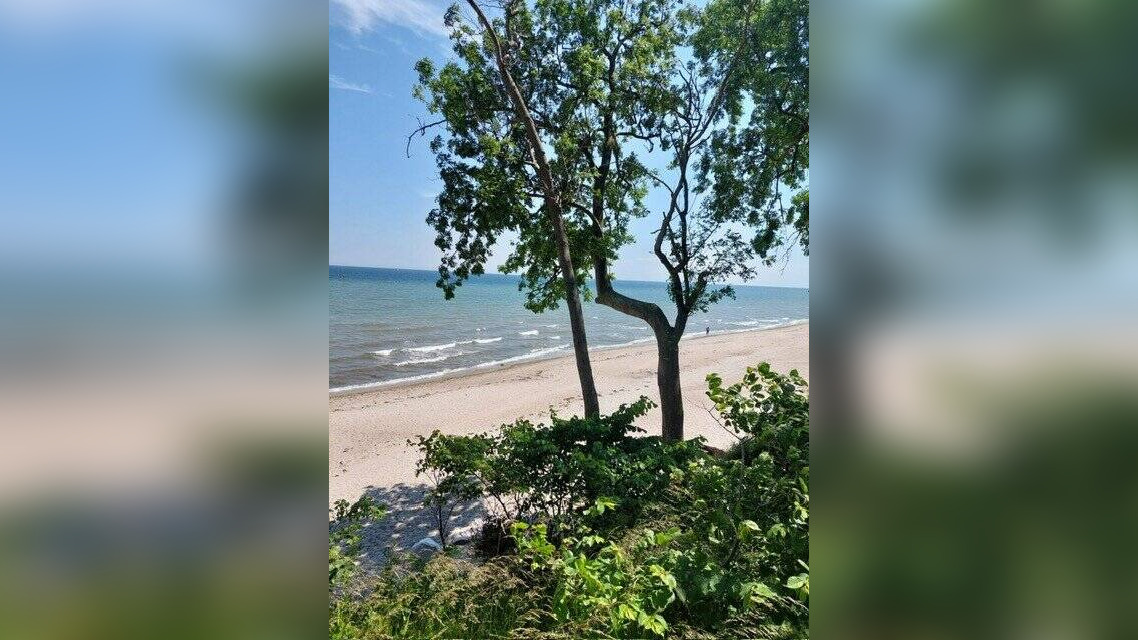 image-56820574